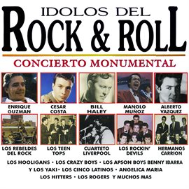 Imagen de portada para Idolos del Rock & Roll
