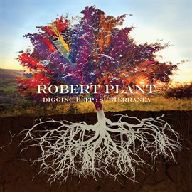 Imagen de portada para Digging Deep: Subterranea