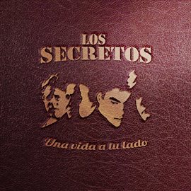 Cover image for Una vida a tu lado