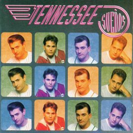 Cover image for Sueños
