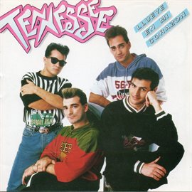 Cover image for Llueve en mi corazón