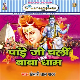 Cover image for Pandey Ji Chali Baba Dham