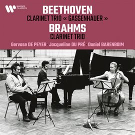 Cover image for Beethoven: Clarinet Trio, Op. 11 "Gassenhauer" - Brahms: Clarinet Trio, Op. 114