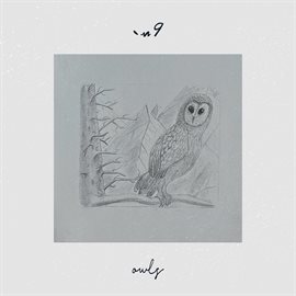 Cover image for owls