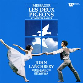 Imagen de portada para Messager: Les deux pigeons