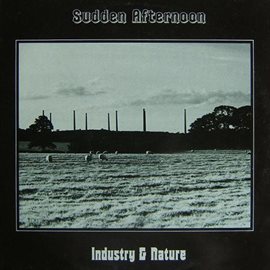 Cover image for Industry and Nature