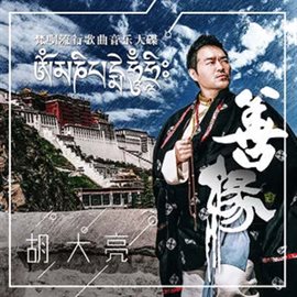 胡大亮·善緣·梵唄流行歌曲音樂大碟