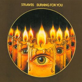 Cover image for Burning for You