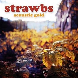 Imagen de portada para Acoustic Gold