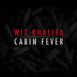Cover image for Cabin Fever