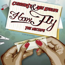 Cover image for How Fly
