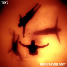 Imagen de portada para I Wonder If The World Knows?