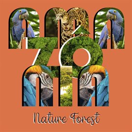 Cover image for Amazônia - Nature Forest