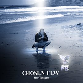 Cover image for Chosen Few Fe