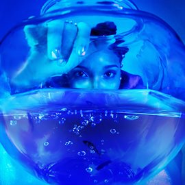 Imagen de portada para Pisces