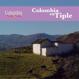 Imagen de portada para Colombia en Tiple (Colombia en Instrumentos 07)