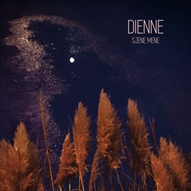 Cover image for Sjene Mene