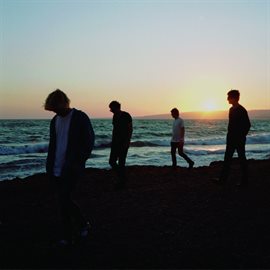 Cover image for Modern Nature (Deluxe Edition)