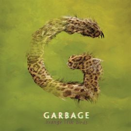 Cover image for Strange Little Birds