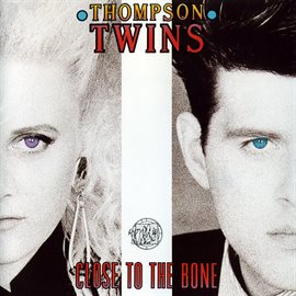 Cover image for Close to the Bone