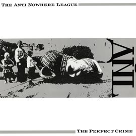 Cover image for The Perfect Crime