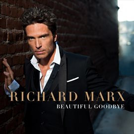 Cover image for Beautiful Goodbye