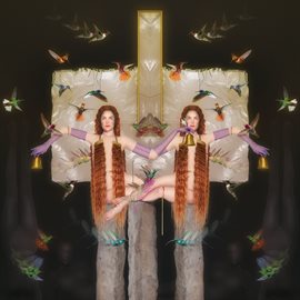 Cover image for Twin
