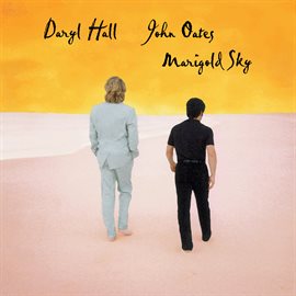 Cover image for Marigold Sky