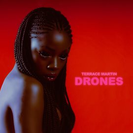 Cover image for DRONES