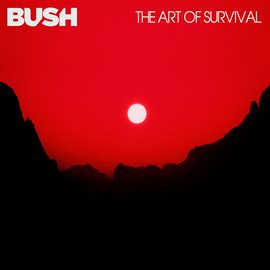 Cover image for The Art Of Survival