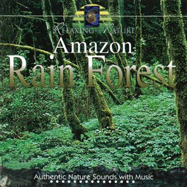 Cover image for Amazon Rain Forest