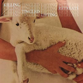 Cover image for Killing Tingled Lifting Retreats