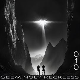 Cover image for Seemingly Reckless