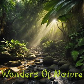 Cover image for Wonders Of Nature