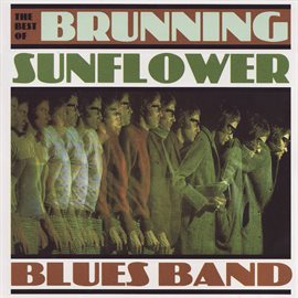 Imagen de portada para The Best of Brunning Sunflower Blues Band