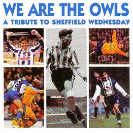 Cover image for We Are The Owls