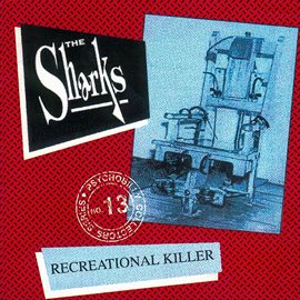 Cover image for Recreational Killer