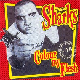 Cover image for Colour My Flesh