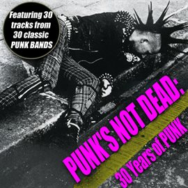 Cover image for Punk's Not Dead - 30 Years Of Punk
