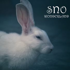 Imagen de portada para Wonderland