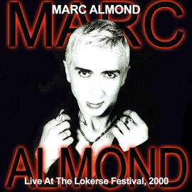 Imagen de portada para Live At Lokerse Festival, 2000