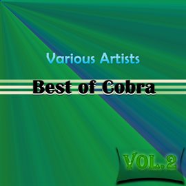 Cover image for Best of Cobra, Vol. 2