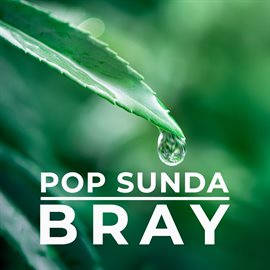 Cover image for Pop Sunda Bray