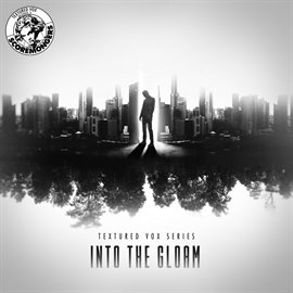 Imagen de portada para Into the Gloam (Textured Vox Series)