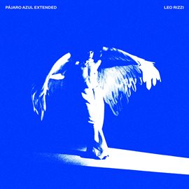 Pájaro Azul Extended ˚₊‧꒰ა ☆ ໒꒱ ‧₊˚