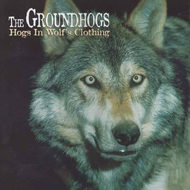 Cover image for Hogs in Wolf's Clothing