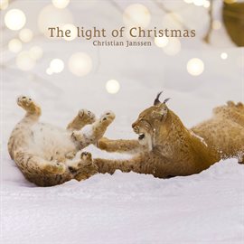 Imagen de portada para The Light Of Christmas