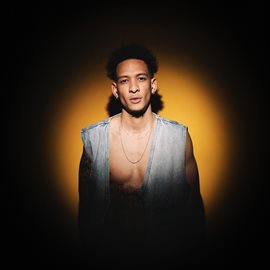 Cover image for Desaparecido