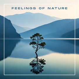 Cover image for Feelings Of Nature