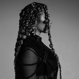 Cover image for S.i.n. (deluxe)